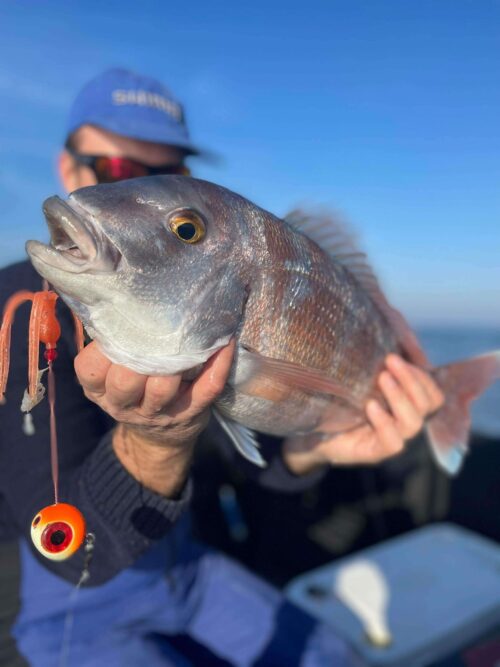 Guide de pêche au Grau-du-Roi – Exploration des fosses en mer